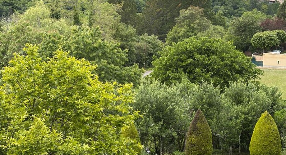 Très belle propriété en Périgord Noir, avec grande maison principale, maison d'amis et piscine. Beau terrain paysagé d'environ 5700 m².