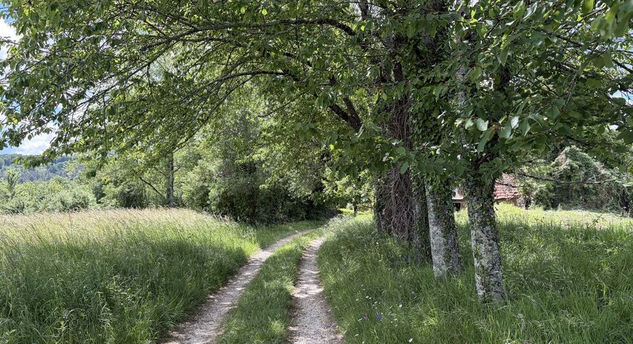 Propriété sur 2 hectares située dans un très beau cadre de campagne, à moins de 10 minutes de Sarlat.
