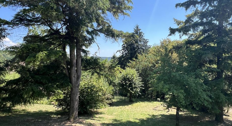 Dans le bourg de Thenon, avec l'ensemble des services et commerces à proximité, maison de 170 m² habitables avec sous-sol et garage sur 3196 m² de terrain arboré.