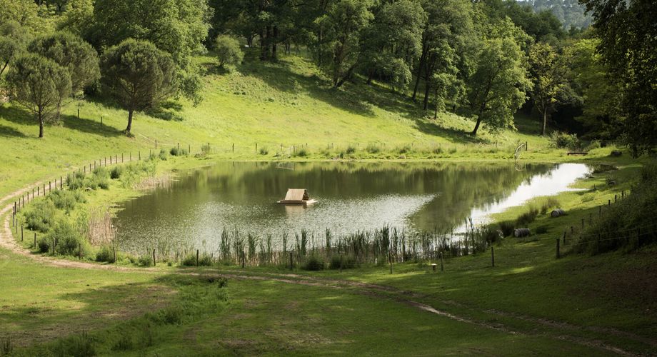 Domaine unique en Périgord Noir sur 67 hectares clos avec château et dépendances.