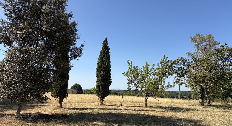 Sur les hauteurs, entre Les Eyzies, Plazac et Rouffignac, ensemble comprenant une maison de plain-pied et un petit chalet sur près de 6000 m² de terrain.