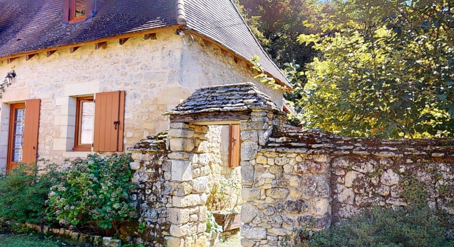 Propriété de caractère avec piscine unique, en Vallée Vézère , dans le Périgord Noir avec maison principale, gîte, dépendance et grottes sur 1,5 ha.