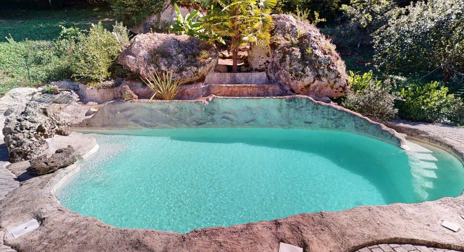 Propriété de caractère avec piscine unique, en Vallée Vézère , dans le Périgord Noir avec maison principale, gîte, dépendance et grottes sur 1,5 ha.