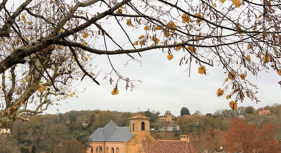 SUPERBE, ÉLÉGANTE MAISON DE 5 CHAMBRES ET 5 SALLES DE BAIN AVEC GRANGES DANS UN MAGNIFIQUE VILLAGE DE LA DORDOGNE AVEC TOUTES LES COMMODITÉS. ACTUELLEMENT EN ACTIVITÉ EN TANT QUE CHAMBRE D'HÔTES/B&B À SUCCÈS. PF90317