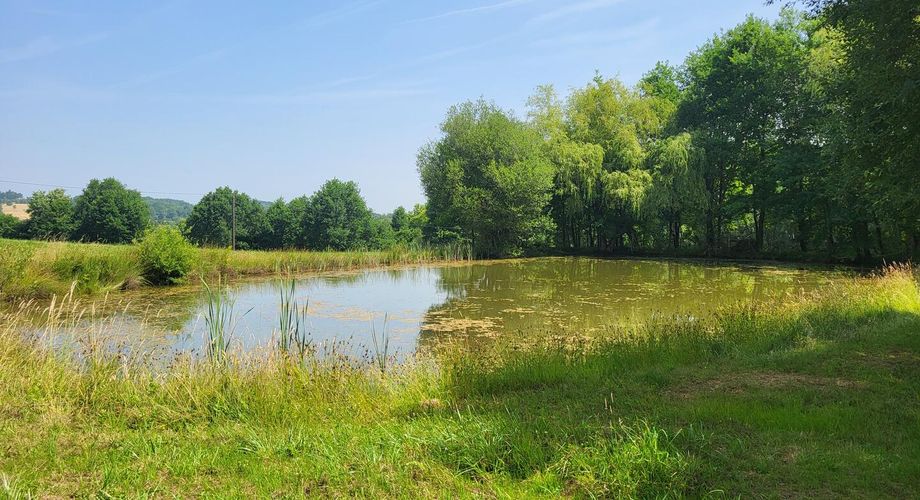Corps de ferme en U et ses 15 hectares de bois et de pré