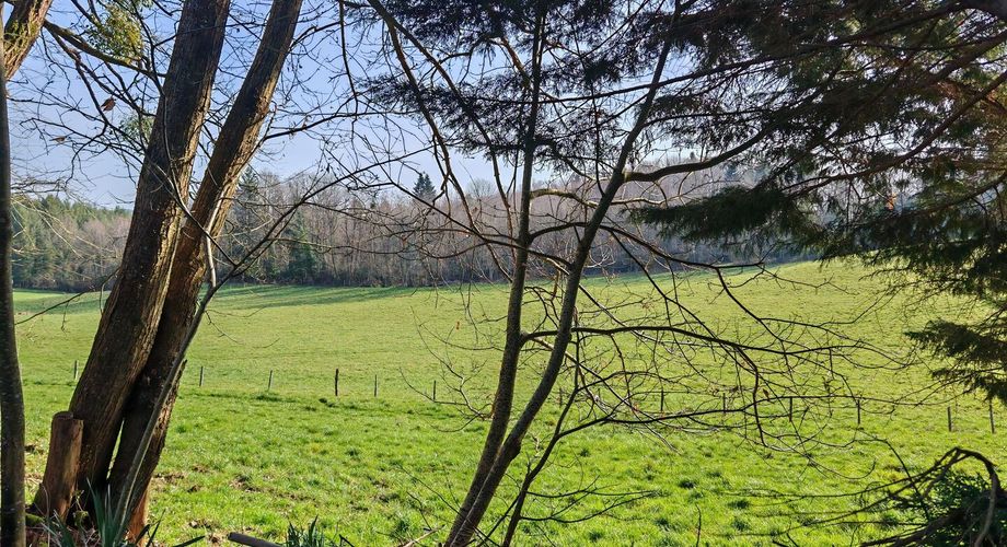 Maison des années 70 sans voisin et terrain boisé