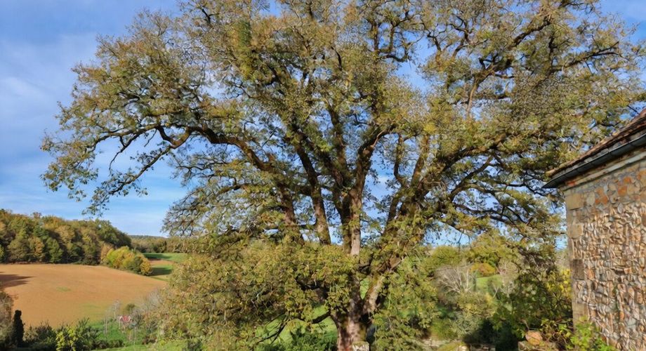 Excideuil - Ferme bourgeoise du XVIIe et dépendances sur 3,6 hectares