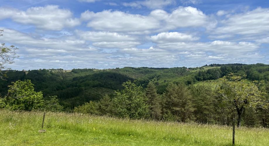 Sur les hauteurs en Périgord Noir, située au calme d'une impasse mais non isolée, maison avec petit gîte attenant. Terrain aménagé pour chevaux d'environ 2 hectares de bois et prés, attenants et non attenants.