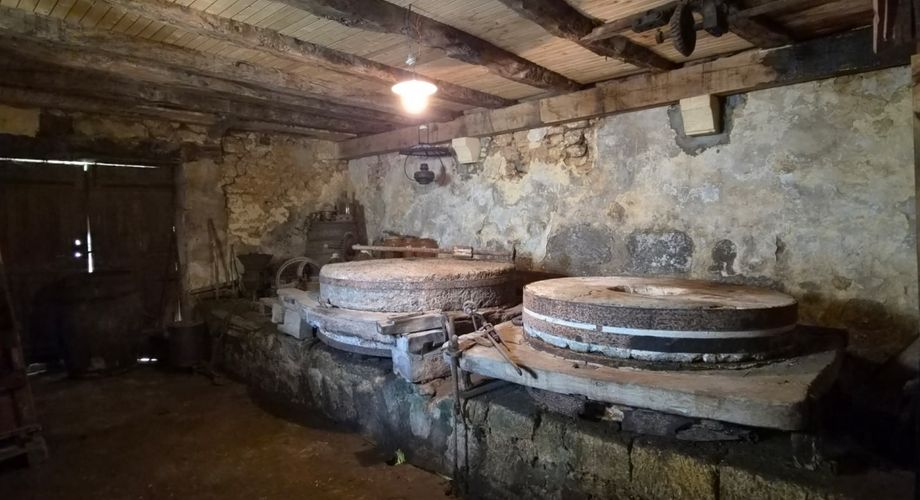 Ancien Moulin en Périgord Noir - 3 chambres,  ruisseau, dépendances et 3 hectares de nature
