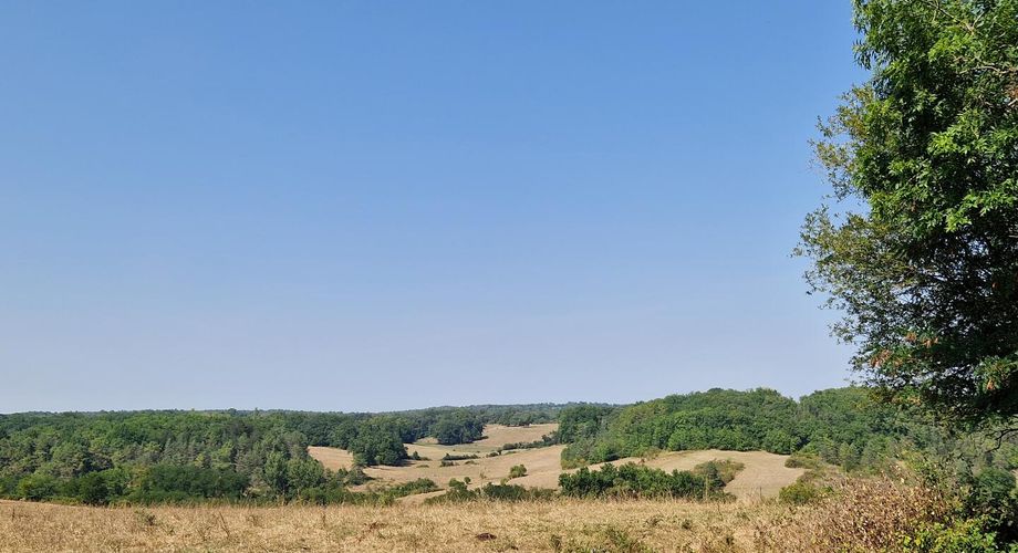 Propriété avec piscine,et parc de plus d'un hectare.