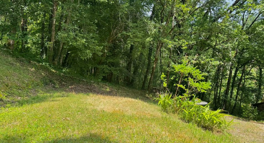 Charmante maison au cœur du Périgord Noir, à deux pas du centre du Bugue