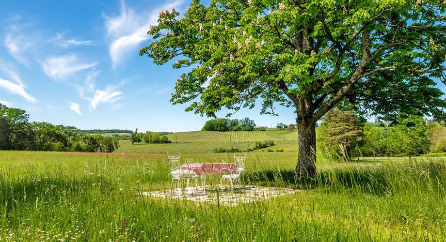 Élégant manoir XIXe avec grand jardin, proche des commerces – Périgord Pourpre