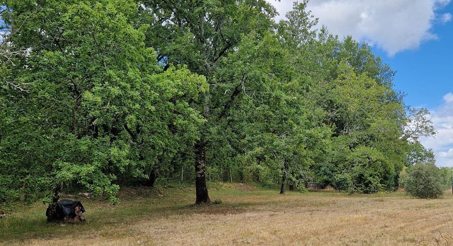 Charming property with swimming pool and 6,268 m² of land