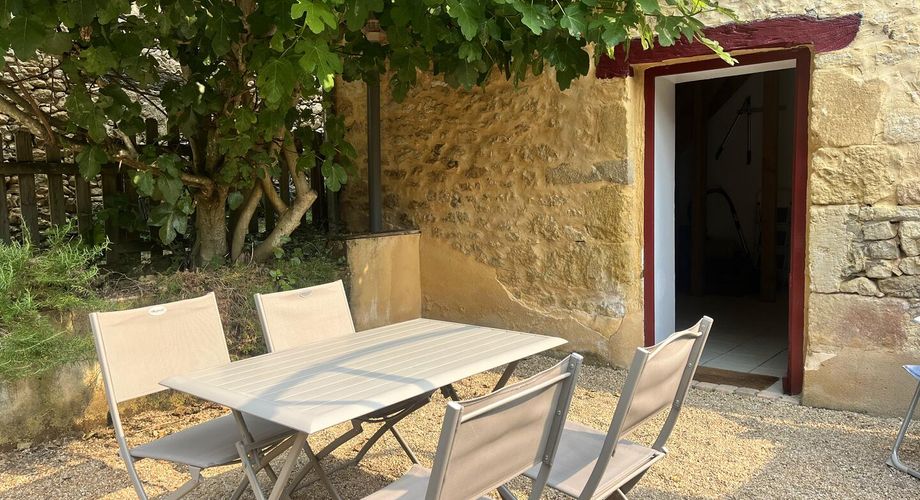 Maison en pierres 3 chambres et terrasse, Opportunité d'investissement ou résidence de charme proche SAINT-CYPRIEN