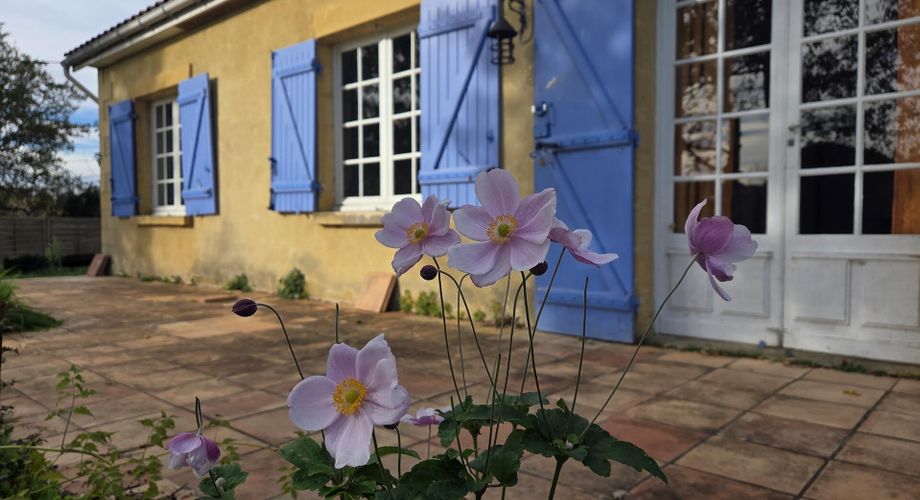 Maison de plain-pied avec grand terrain et ancien séchoir à tabac
