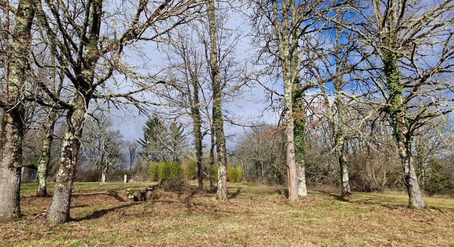 Maison de plain pied à renover sur 3678m2 en prairie et chênes.
