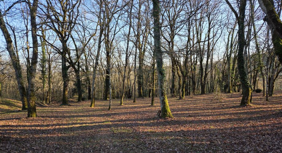 Maison contemporaine avec gîte et beau terrain au calme !