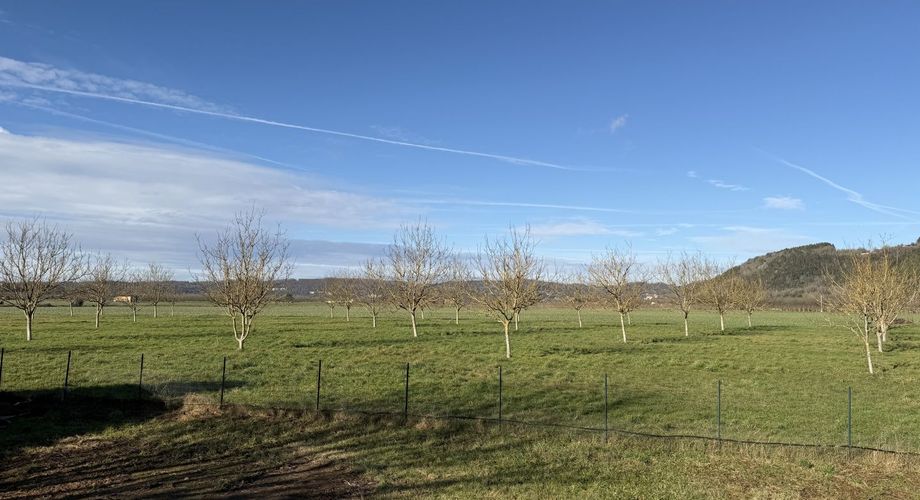 Maison de plain-pied avec 4 chambres, garages et dépendance camping-car