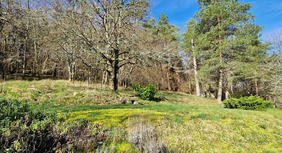Maison en pierres avec 1 ha 60 en jardin, prairie et bois à 6 km des commerces