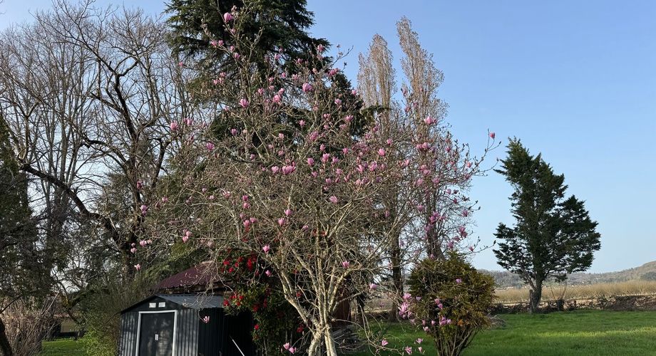 Charmant pied-à-terre contemporain – 64 m² dans un parc d’exception