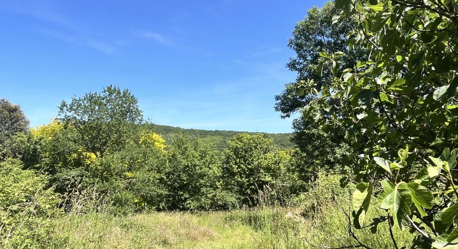 Beau bien de caractère avec dépendances à rénover – Idéal projet touristique ou familial Périgord Noir