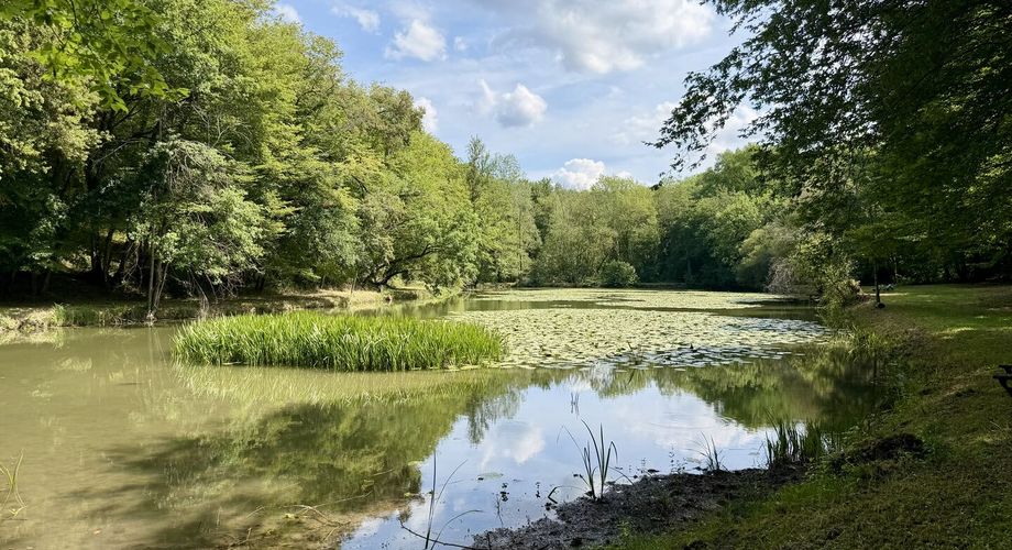 Propriété de caractère ade 20 hectares avec maison principale, maison d'amis, piscine, étang et cadre naturel