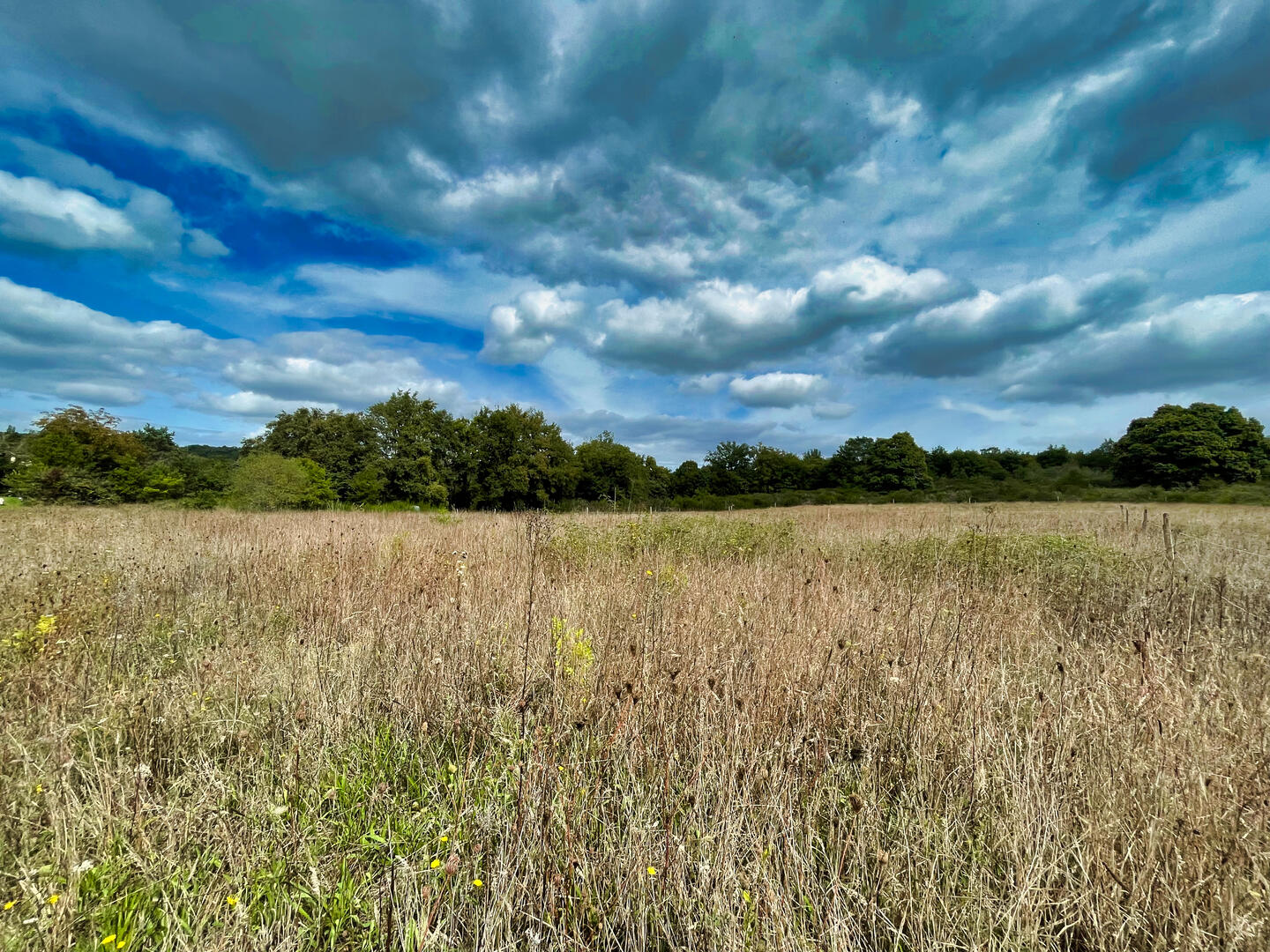 TERRAIN PLAT DE 2705 M2